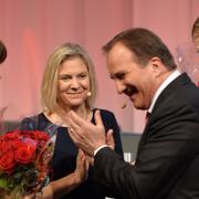 Åsa Romson, Magdalena Andersson, Stefan Löfven och Gustav Fridolin.