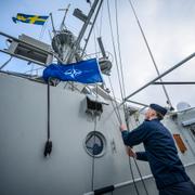 Sverige och Natos flagga hissas på HMS Carlskrona som är en del av operation Baltic Sentry. 