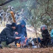 Några migranter värmer sig vid elden vid den polsk-belarusiska gränsen. 