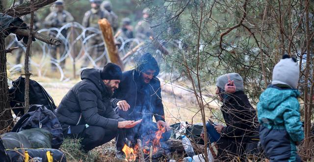 Några migranter värmer sig vid elden vid den polsk-belarusiska gränsen.  Leonid Shcheglov / TT NYHETSBYRÅN