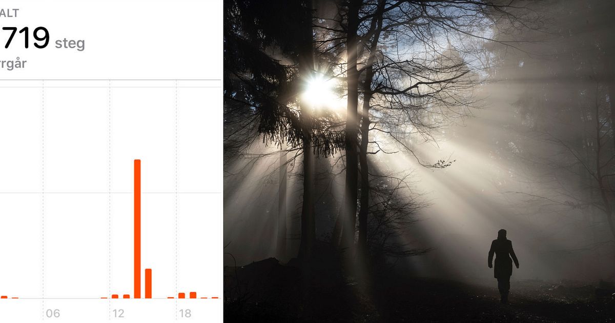 Hur Många Kilometer är 10000 Steg