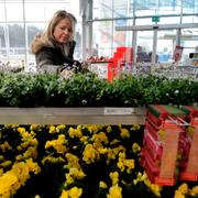 Arkivbild: Plantagen i Bromma. Lena Hallgren från Spånga.