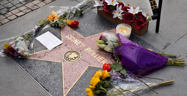 Sidney Poitiers stjänra på ”Walk of Fame” i Los Angeles.  Chris Pizzello / AP