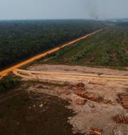 Skogsavverkning i Amazonas.  Edmar Barros / AP