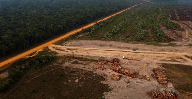 Skogsavverkning i Amazonas.  Edmar Barros / AP