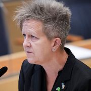 Ulrika Westerlund (MP).