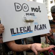 Cannabisanhängare protesterar utanför regeringsbyggnaden i Bangkok i november 2022.