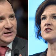 Varken statsminister Stefan Löfven (S) eller M-ledaren Anna Kinberg Batra lär vilja gå till val på sänkt ränteavdrag, skriver SVT:s Johanna Cervenka.