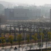 Wuhan Institute of Virology.