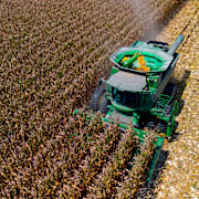 Illustrationsbild från en gård i Georgia.