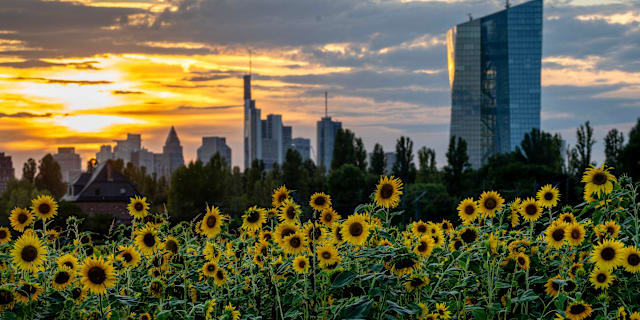ECB i Frankfurt. Michael Probst / AP