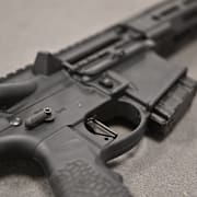 Ett vapen av typen AR15/SD-ledaren Jimmie Åkesson.