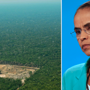 Skövlad del av Amazonas (t v), Marina Silva (t h).