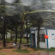 Kokospalmer vid kusten i staden Haikou i Hainan Friday, Sept. 6, 2024. (Yang Guanyu/Xinhua via AP)  XIN802