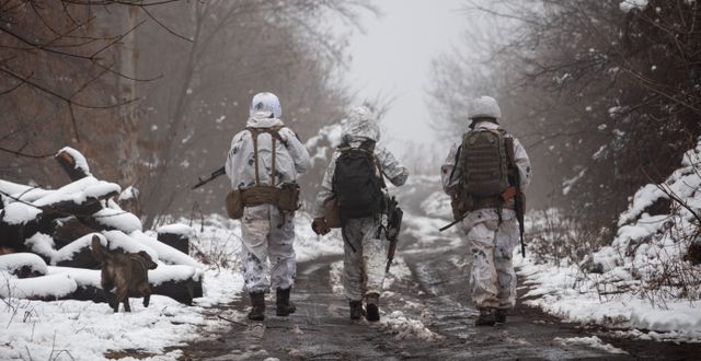 Ukrainska soldater i västra delarna av landet. Andriy Dubchak / AP