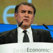 Nouriel Roubini 2013. 