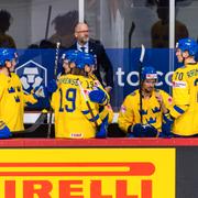 Svenska båset under matchen mot Slovakien.