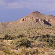 Öken i norra Chihuahua.