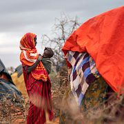 En kvinna fäller upp ett tält i ett flyktingläger i Dollow i Somalia. Arkivbild.