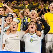 Svenska supportrar, arkivbild.