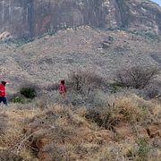 Räddningstjänstens insats efter helikopterkraschen i Kenya.