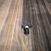 Ukrainskt spannmål. Illustrationsbild.