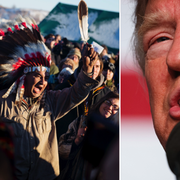 Glädjescener bland protesterande efter beskedet om den stoppade ledningen/arkivbild, Donald Trump.