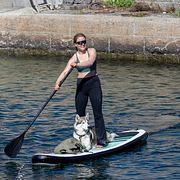 Hunden Ester bjuds på en SUP-tur av matte på kanalen i Malmö i aprilsolen på torsdagen.
