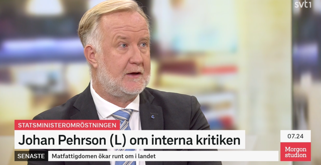 Johan Pehrson  SVT Morgonstudion
