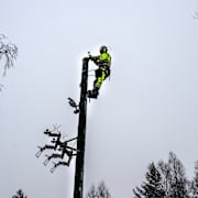 Reparationsarbete i Gävleborg efter ovädren Johannes och Anna.