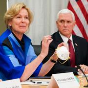 Vita husets koordinator för coronaepidemin, Deborah Birx, visar upp en av 3M:s masker för vicepresident Mike Pence.