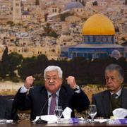 Mahmoud Abbas talar under ett möte med palestinska ledare den 14 januari. 