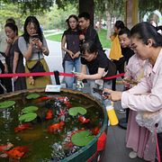 Folkliv i en park i Beijing i helgen.