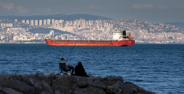 Fraktfartyg i Bosporen.  Khalil Hamra / AP