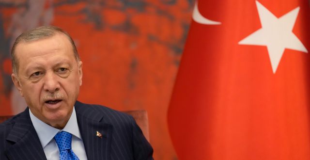 Erdogan.  Darko Vojinovic / AP