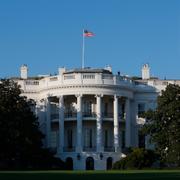 Vita huset i Washington DC. 