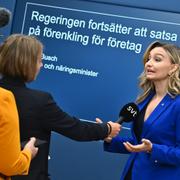 Energi- och näringsminister Ebba Busch (KD) på en pressträff om regelförenklingar. Arkivbild från maj 2024.