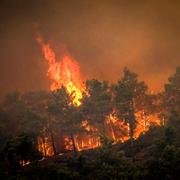 En av skogsbränderna som rasar på Rhodos.