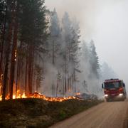 Skogsbrand vid Kårböle strax utanför Ljusdal som härjade i somras. Arkivbild.