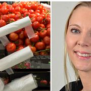 Åsa Westlund
