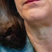 Ann Linde (S).