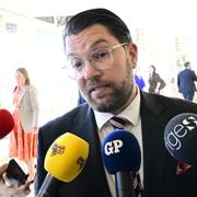 Sverigedemokraternas partiledare Jimme Åkesson