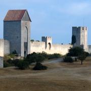 Vy över Simrishamn/Visby ringmur. 