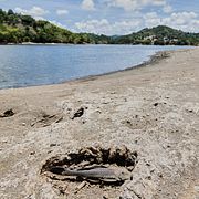 Torka i Puerto Rico.