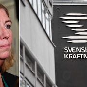 Svenska kraftnäts generaldirektör Ulla Sandborgh.