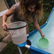 En kvinna hämtar rent vatten från en pool i Santiago.