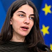 Klimat- och miljöminister Romina Pourmokhtari (L).