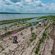 Arkivbild från 2024: Torka vid Amazonfloden i Leticia, Colombia.