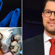 Jimmie Åkesson.