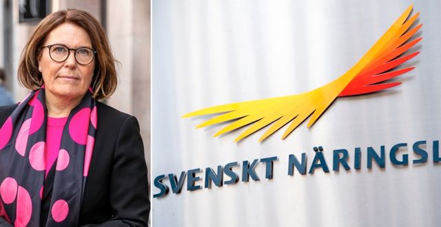 Svensk Handels vd Karin Johansson. Press/TT